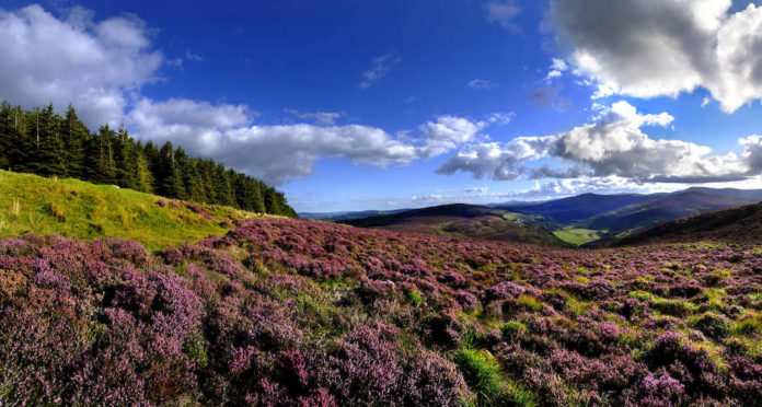 things to do in Wicklow