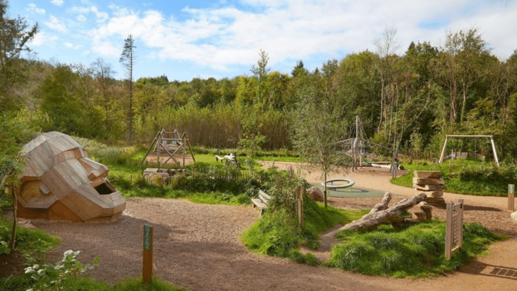 The Giants of the Drumlins - Monaghan Forest Trail