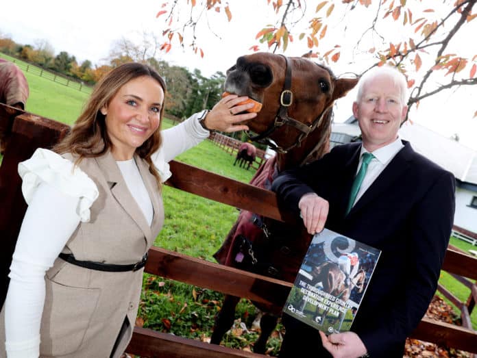 Ireland's Rich Equine Heritage