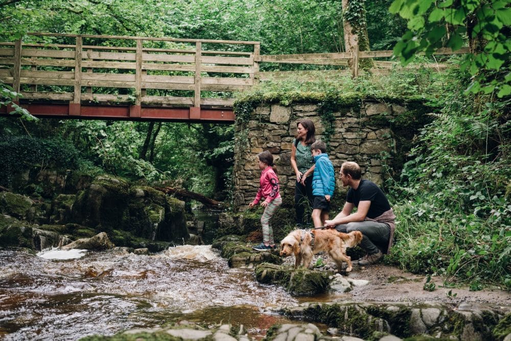fun family days out in Offaly