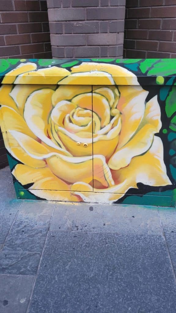 Belfast Street Art  Yellow Rose