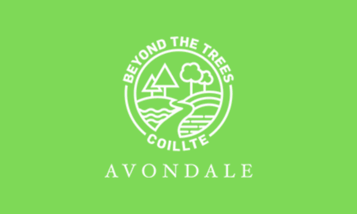 Beyond the Trees Avondale