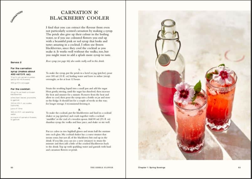 A page from The Edible Flower with Carnation and Blackberry Cooler recipe and the cooler in glasses
