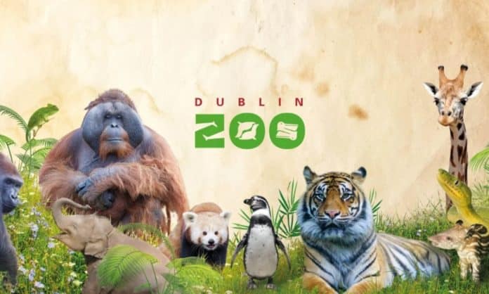 Dublin Zoo animals