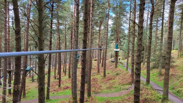 A new zipline in Dublin forests