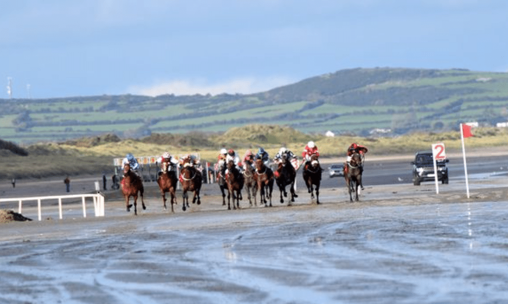 horse racing meetings ireland
